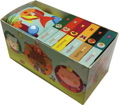 Bibliocube_546c5e45b7f26.jpg