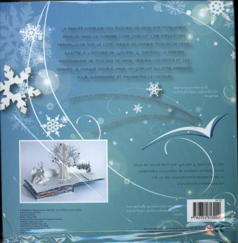 Flocons de neige2_Thomas jeunesse.jpg