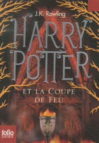 Harry_Potter_et__55788d27afdf0.jpg
