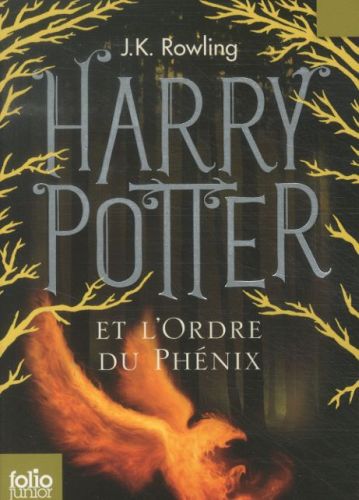 Harry_Potter_et__55788d66f23cd.jpg