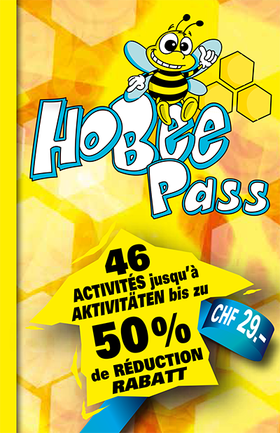 Hobee_Pass_53b6fb3436b4a.png