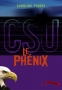 Le_Ph__nix__t.2__4cfba3b8008d0.jpg
