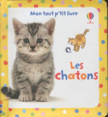 Les_chatons_4f25abbb86d3b.jpg
