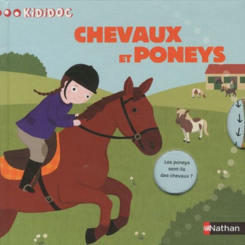 Les_chevaux_et_l_4eb3e5c384df8.jpg