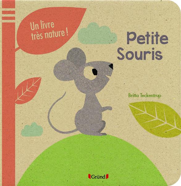 Petite_souris_54df165796e27.jpg
