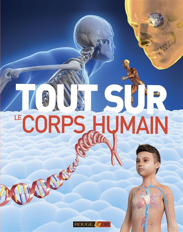 Tout_sur_le_corp_5866608709a17.jpg