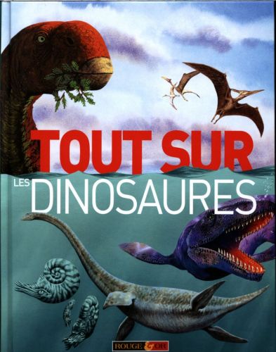 Tout_sur_les_din_55ffa7ef8dc94.jpg