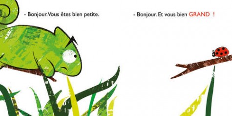 La coccinelle et le cameleon2_Frimousse.jpg