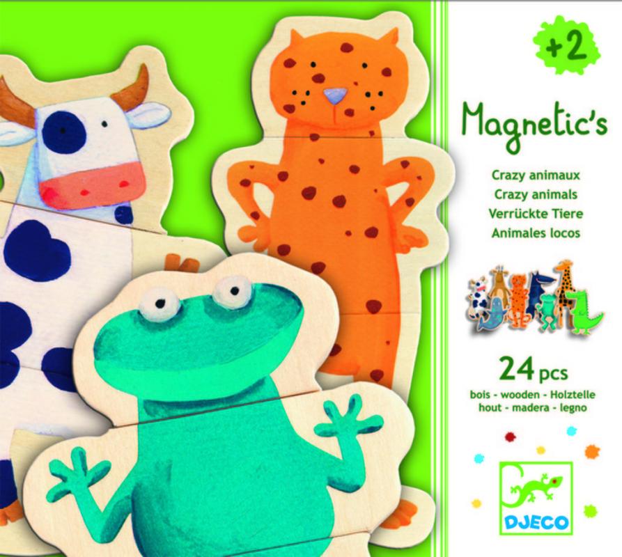 Magnetic_s_Crazy_526fd7d77a352.jpg