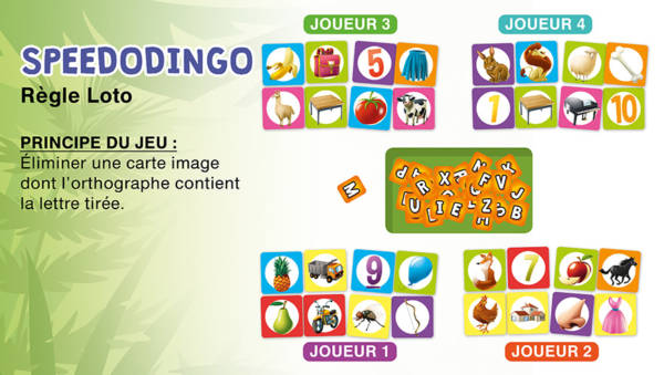 Speedodingo – Image 4
