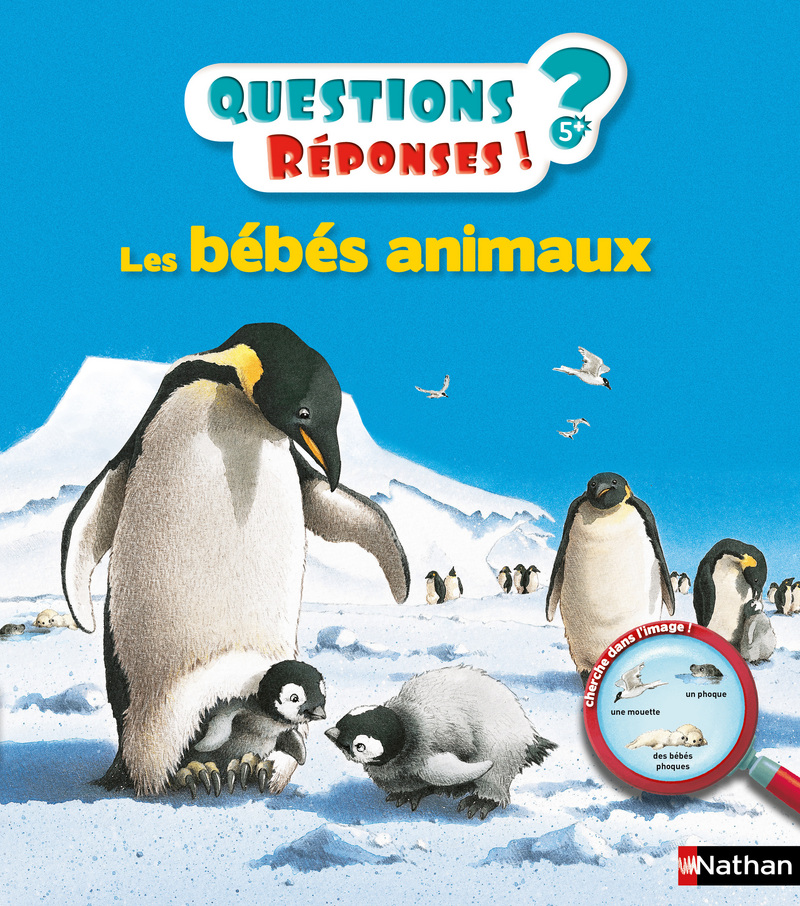 Les-bébés-animaux.jpg