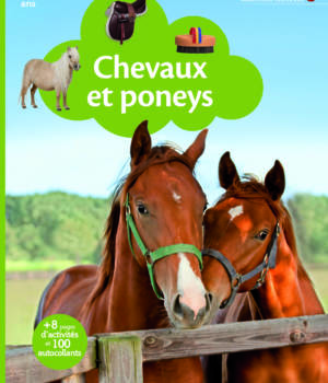 Chevaux et poneys
