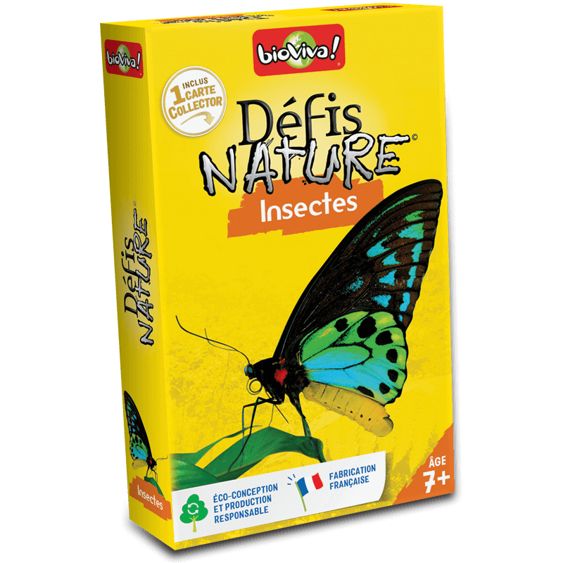 Défis-nature-insectes.png