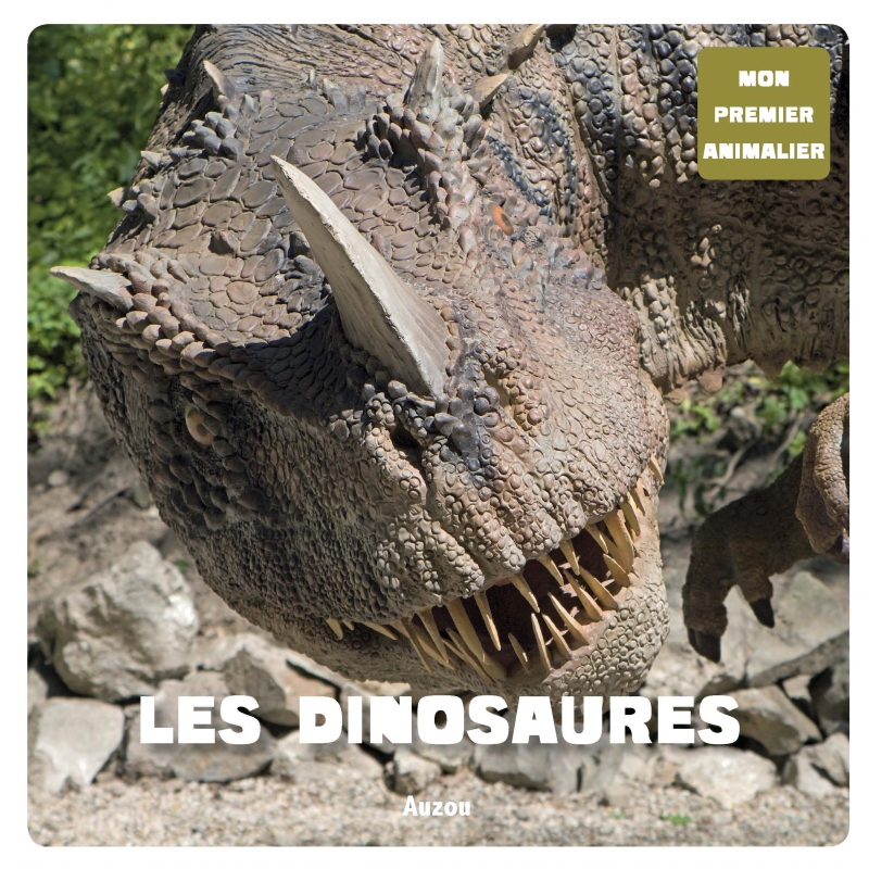 Les-dinosaures__.jpg
