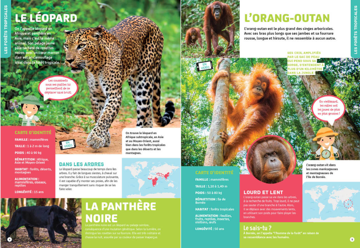 Mon-grand-livre-des-animaux_.jpg