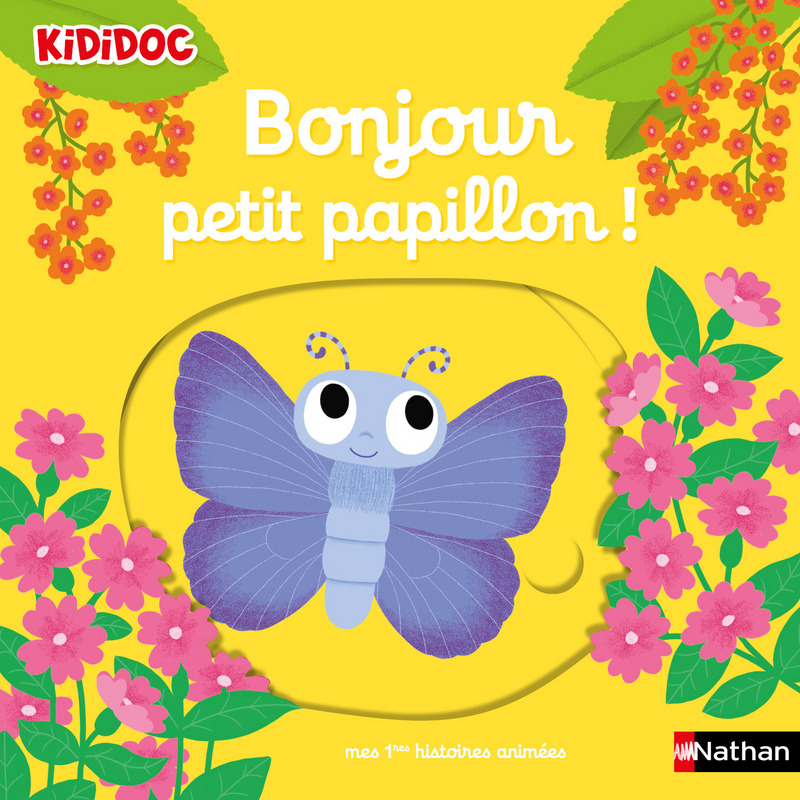 Bonjour-petit-papillon.jpg