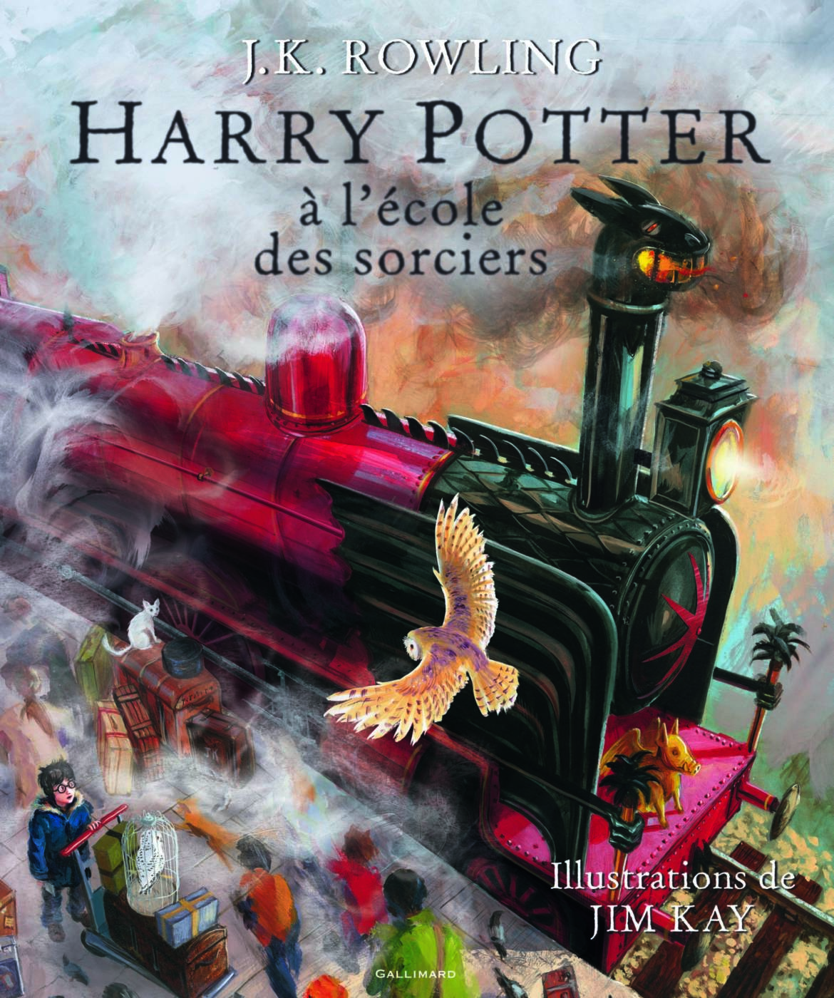 Harry-Potter-illustré-1-scaled.jpg