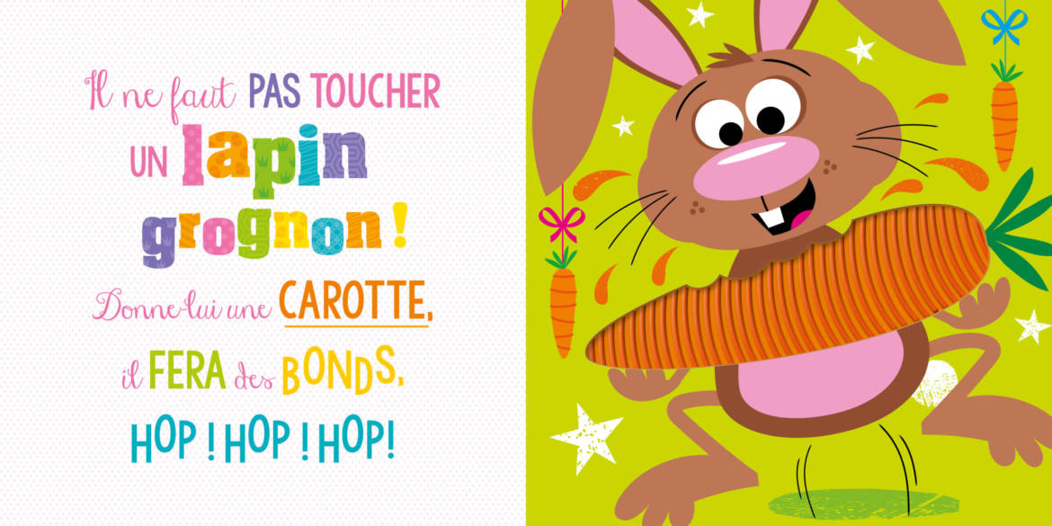 Il-ne-faut-pas-toucher-un-lapin-grognon_.jpg
