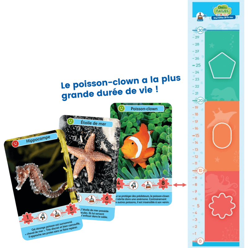 Defis-nature-junior-merveilles-de-la-mer__.png