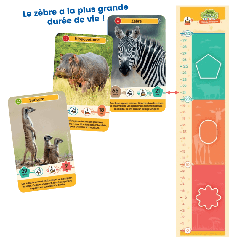 Defis-nature-junior-rois-de-la-savane__.png