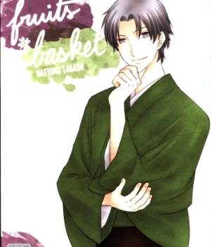 Fruits Basket Perfect Edition t.3