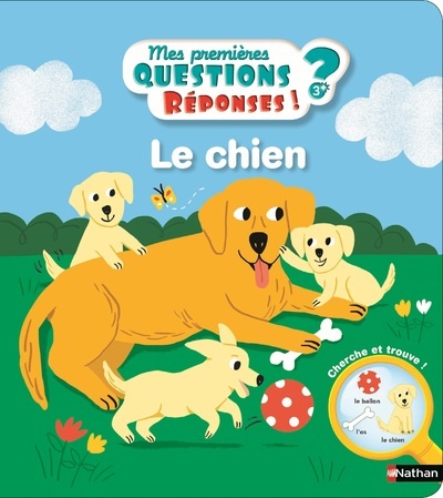 Le-chien.jpg