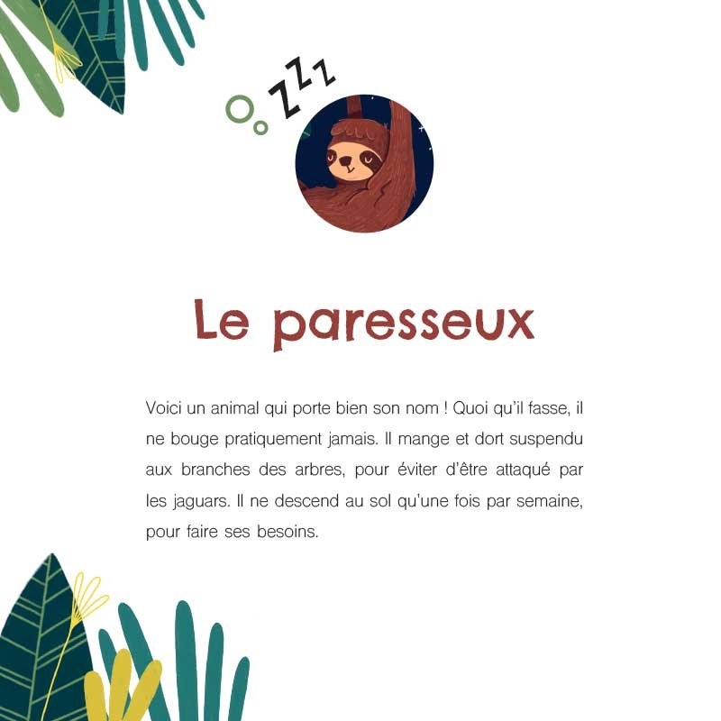 Le-curieux-sommeil-des-animaux__.jpg