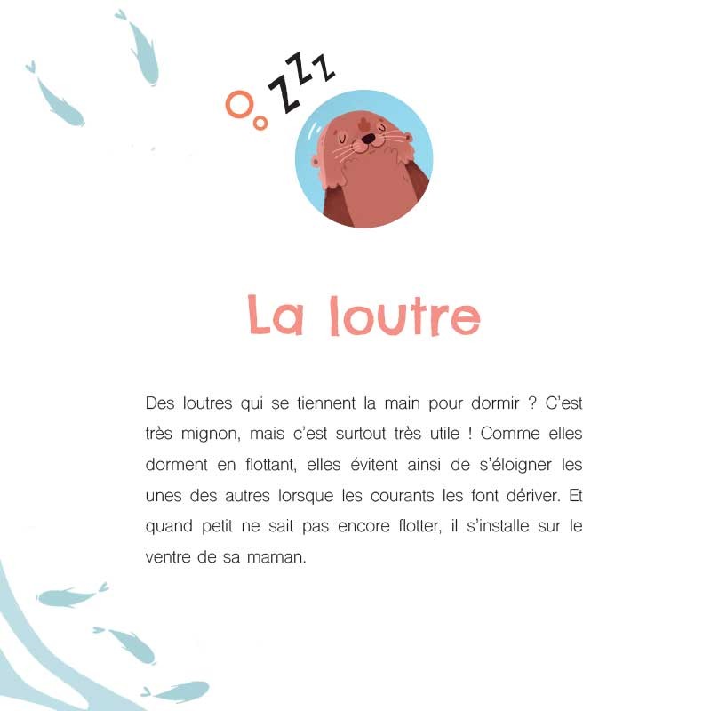Le-curieux-sommeil-des-animaux____.jpg