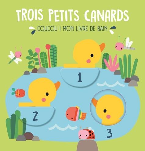 Trois-petits-canards-1.jpg