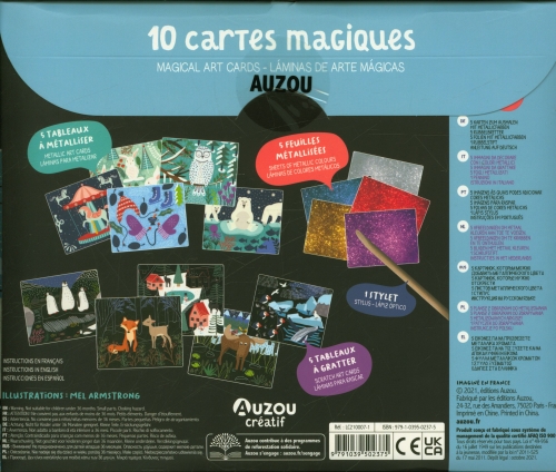 10-cartes-magiques-Auzou__.jpg