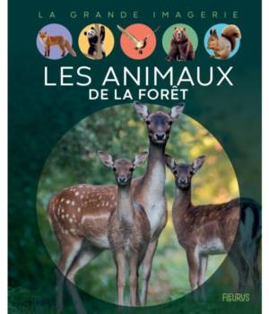 Les animaux de la forêt
