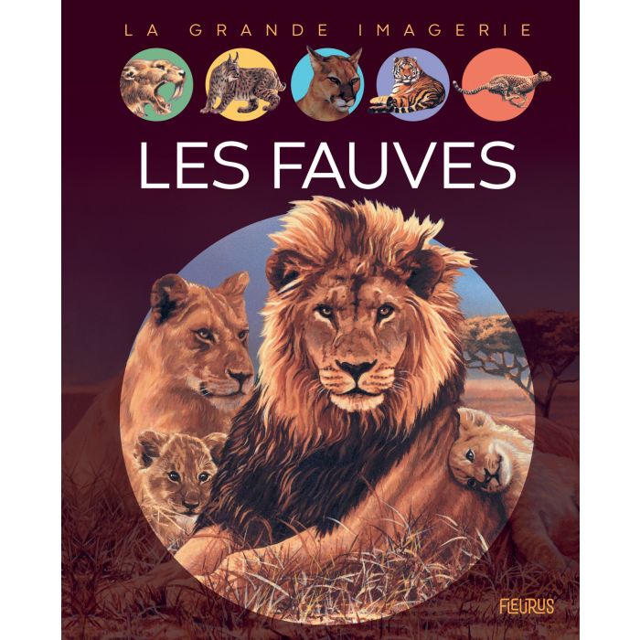 Les-fauves.jpg