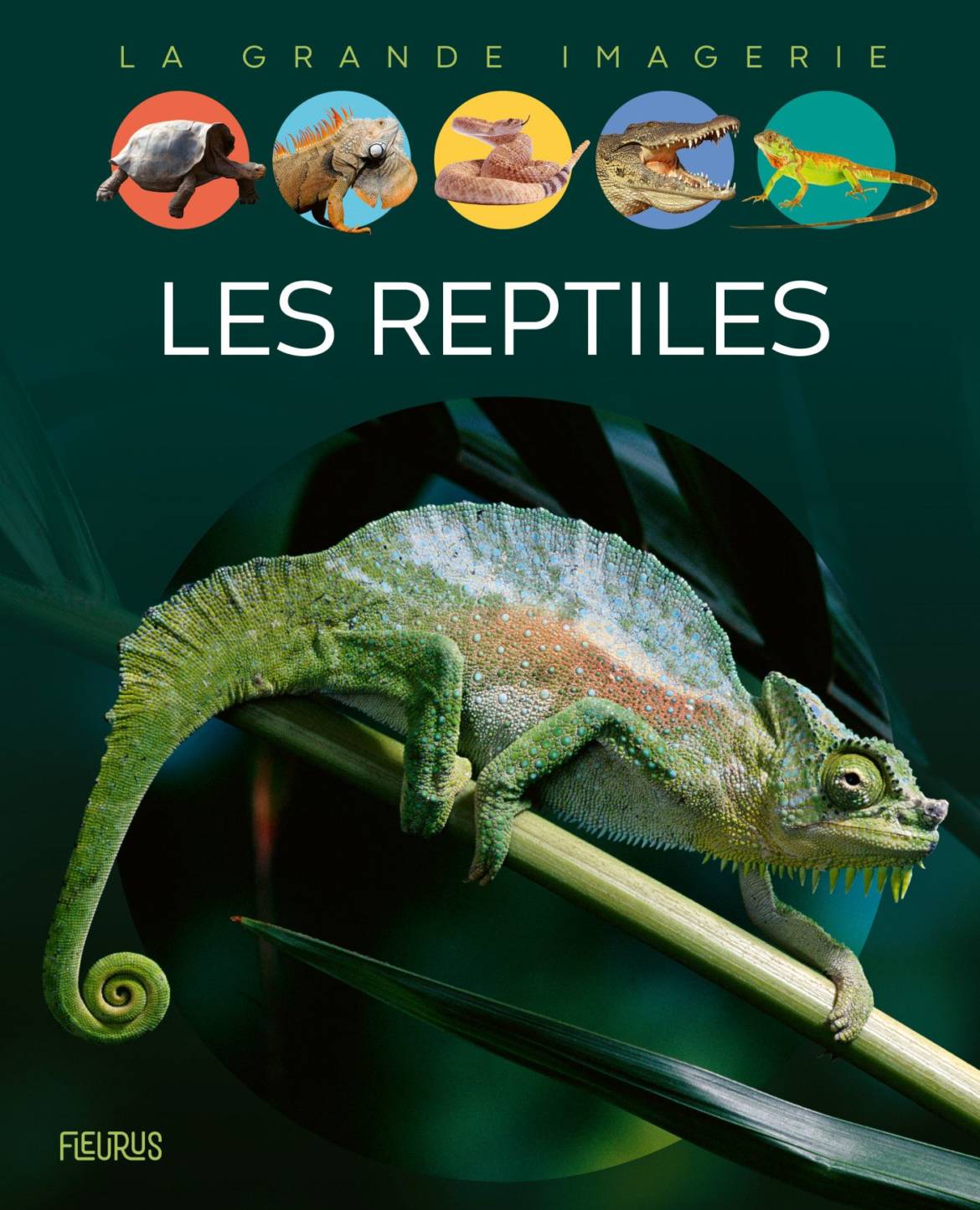 Les-reptiles.jpg