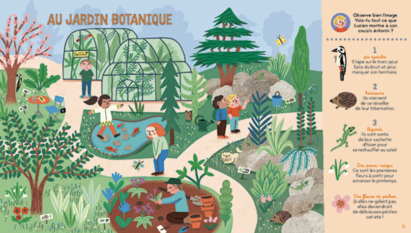 Cherche-et-trouve-de-la-Petite-Salamandre_.jpg