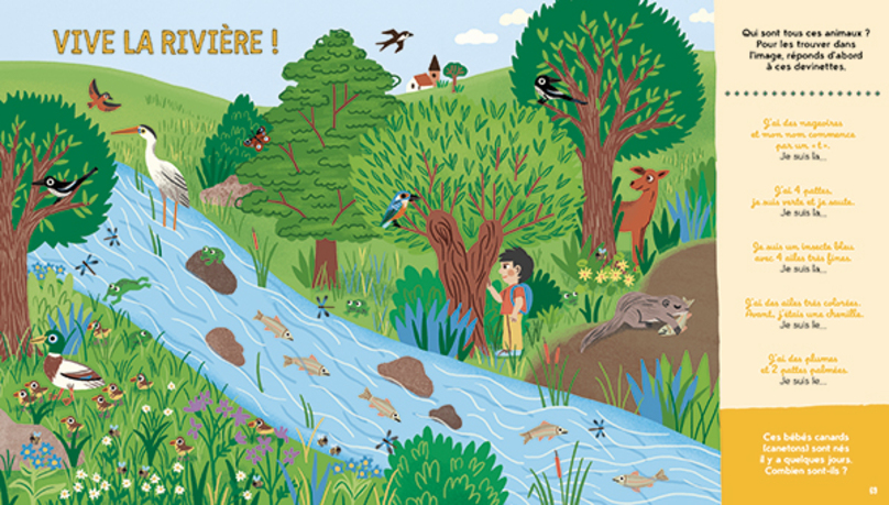 Cherche-et-trouve-de-la-Petite-Salamandre__.jpg
