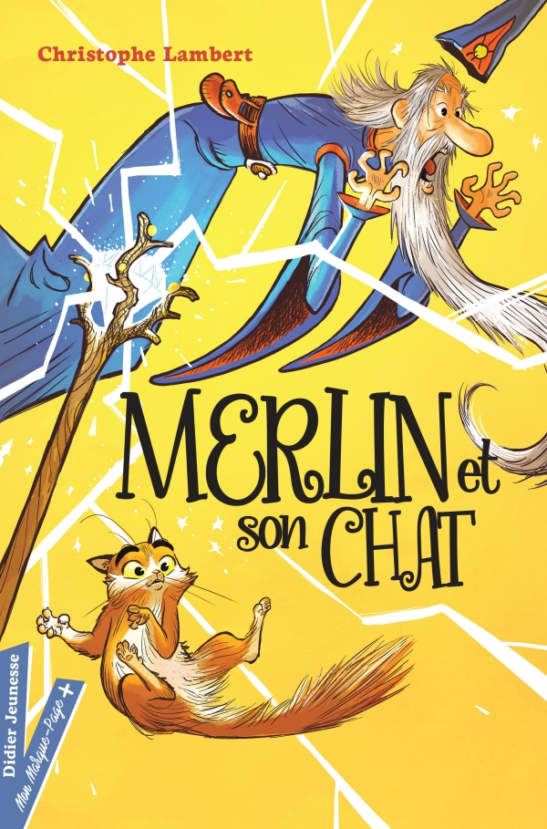 Merlin-et-son-chat.jpeg