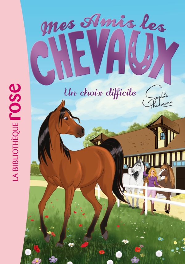Mes-amis-les-chevaux-un-choix-difficile.jpg