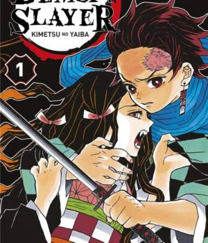 Demon Slayer t.1
