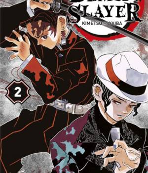 Demon Slayer t.2