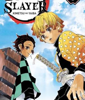 Demon Slayer t.3