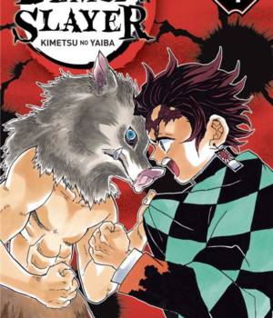 Demon Slayer t.4