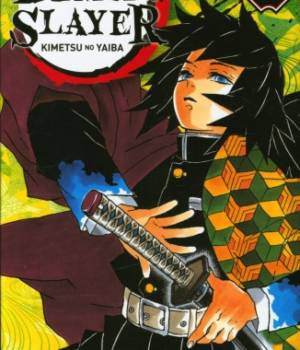 Demon Slayer t.5