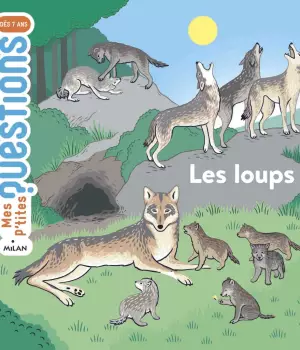 Les loups - Mes p'tites questions