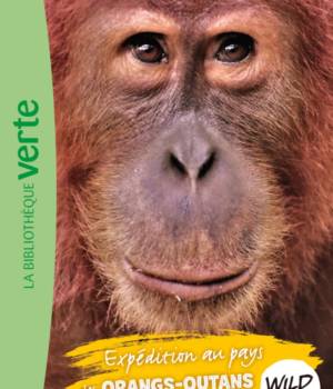 Wild immersion : Expédition au pays des orangs-outans