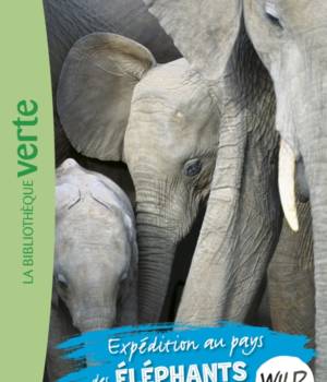 Wild immersion : Expédition au pays des éléphants