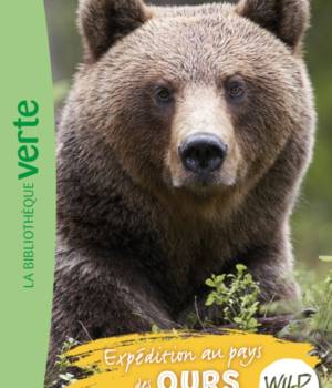 Wild immersion : Expédition au pays des ours