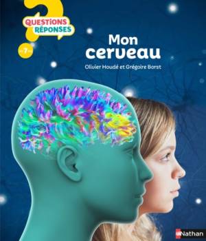Mon cerveau - questions réponses