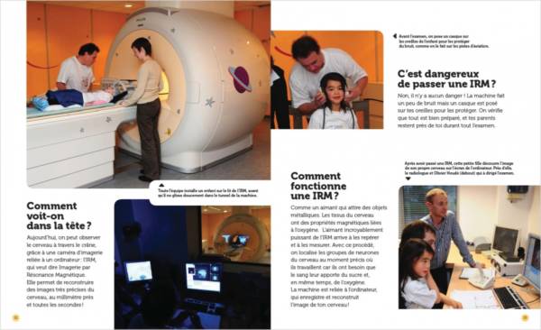 Mon cerveau - questions réponses – Image 3