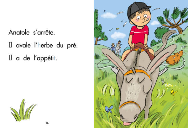 Sami à dos d'âne – Image 2