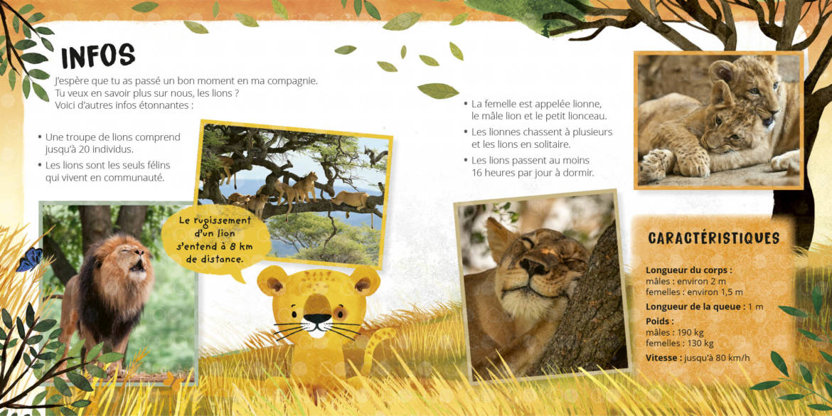 Petit-lion___.jpg